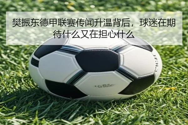 樊振东德甲联赛传闻升温背后，球迷在期待什么又在担心什么 | kaiyun